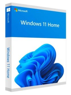 microsoft windows 11 home licenza license digital key