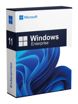 microsoft windows 11 enterprise licenza license digital key