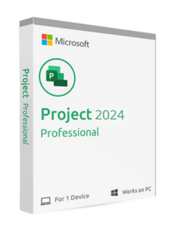 Microsoft Project Professional 2024 licenza key license a vita esd